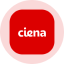 Ciena Tokenized Stock (Ondo)