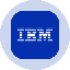 IBM Tokenized Stock (Ondo)