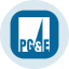 PG&E Tokenized Stock (Ondo)