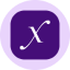 Direxion Daily Semi Bull 3X ETF Tokenized ETF (Ondo)
