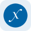 Direxion Semiconductor Bull 3X Tokenized Stock (Reality)